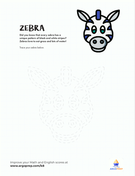K 1gr Zebra Tracing image